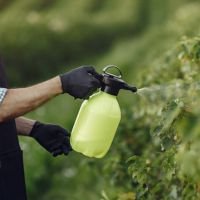 Eco safe Biopesticides