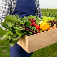 Eco safe Biostimulants